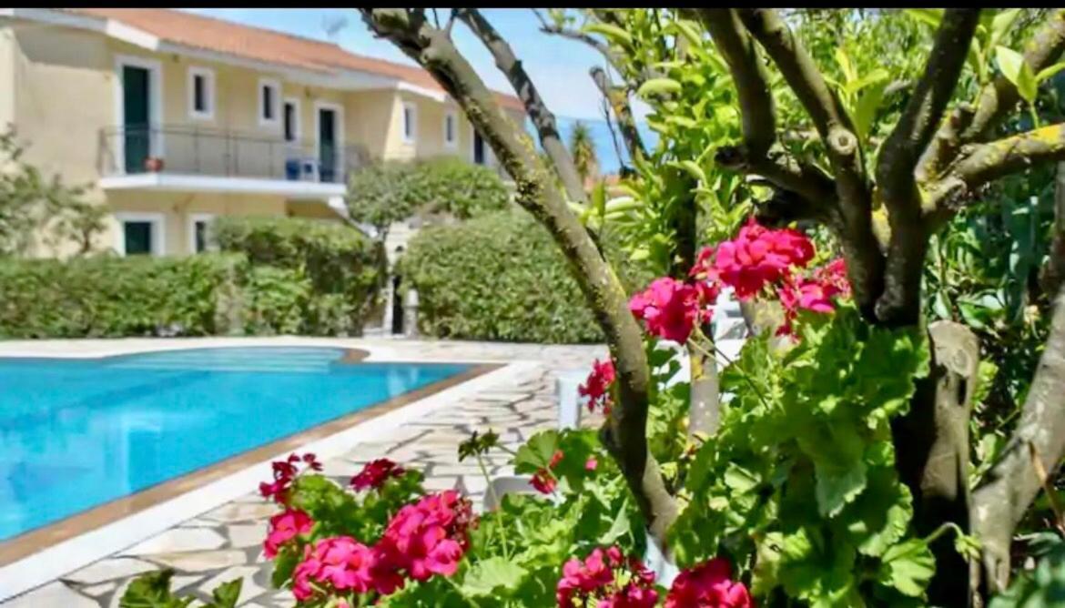 Lemon Tree Apartments B C Argostoli  Exterior photo